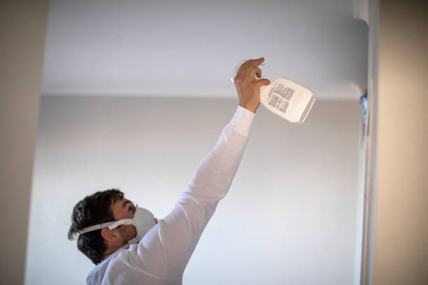 Best Basement Mold Remediation in River Ridge, LA