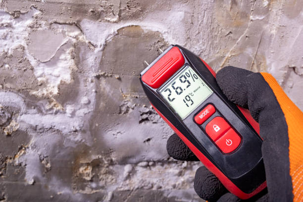 Best DIY Mold Remediation Support Services in River Ridge, LA