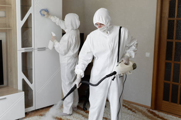 Best HVAC Mold Remediation in River Ridge, LA