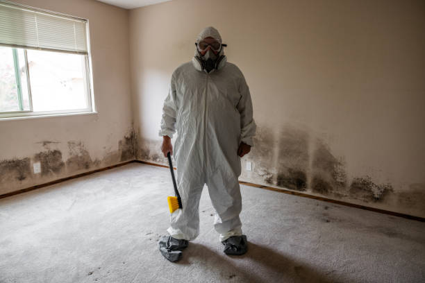 Best Crawl Space Mold Remediation in River Ridge, LA